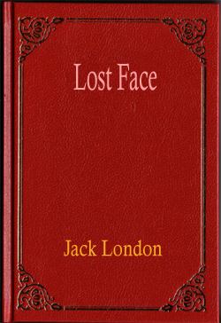 Lost Face