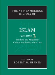 The New Cambridge History of Islam (Volume 3)