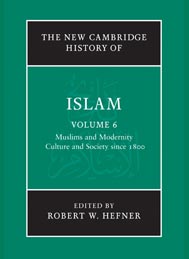 The New Cambridge History of Islam (Volume 5)