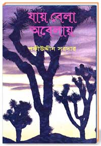 যায় বেলা অবেলায়