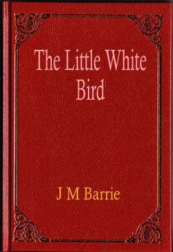 The Little White Bird
