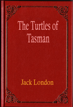 The Turtles of Tasman