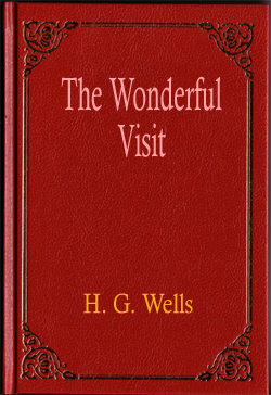 The Wonderful Visit