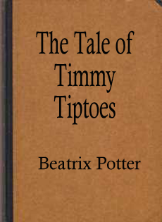 The Tale of Timmy Tiptoes